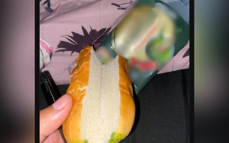 Roti Matcha Strawberi Dengan Krim Sedikit Jadi Bahan Jenaka Netizen