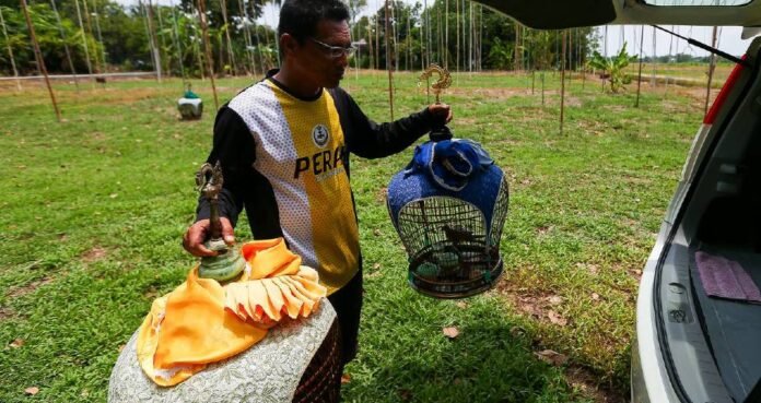 Asri Abdul Majid: Pengadil Pertandingan Suara Burung Berkelas ASEAN