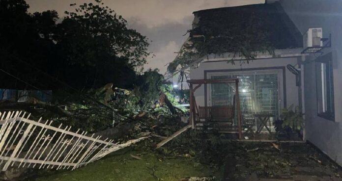 Rumah Teres Dihempap Pokok Petai, Kerugian Melebihi RM40,000