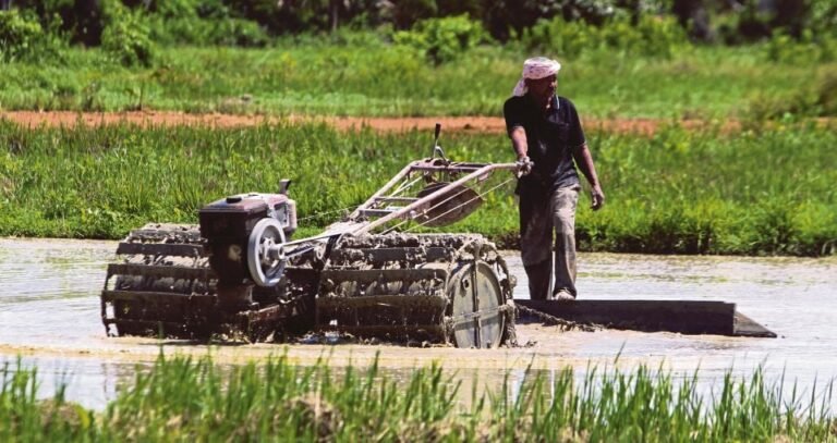 30 Peratus Pesawah Berdepan Kesukaran, Mahu 'Berehat' Musim Tanaman Padi