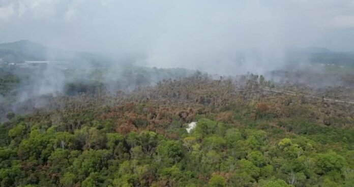 Kebakaran Hutan Gambut Terkawal, Sesi Persekolahan Di Kuala Abang Diteruskan
