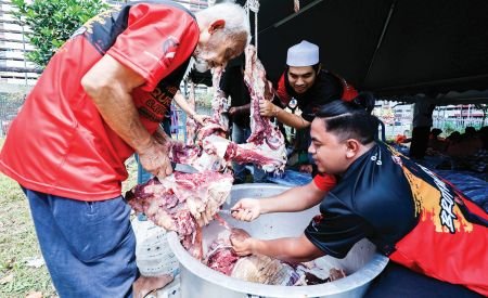 Ibadah Korban: Memahami Keutamaan dan Kebutuhan