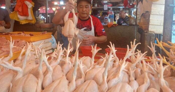Harga Ayam Mentah Turun 50 Sen di Kuala Lumpur